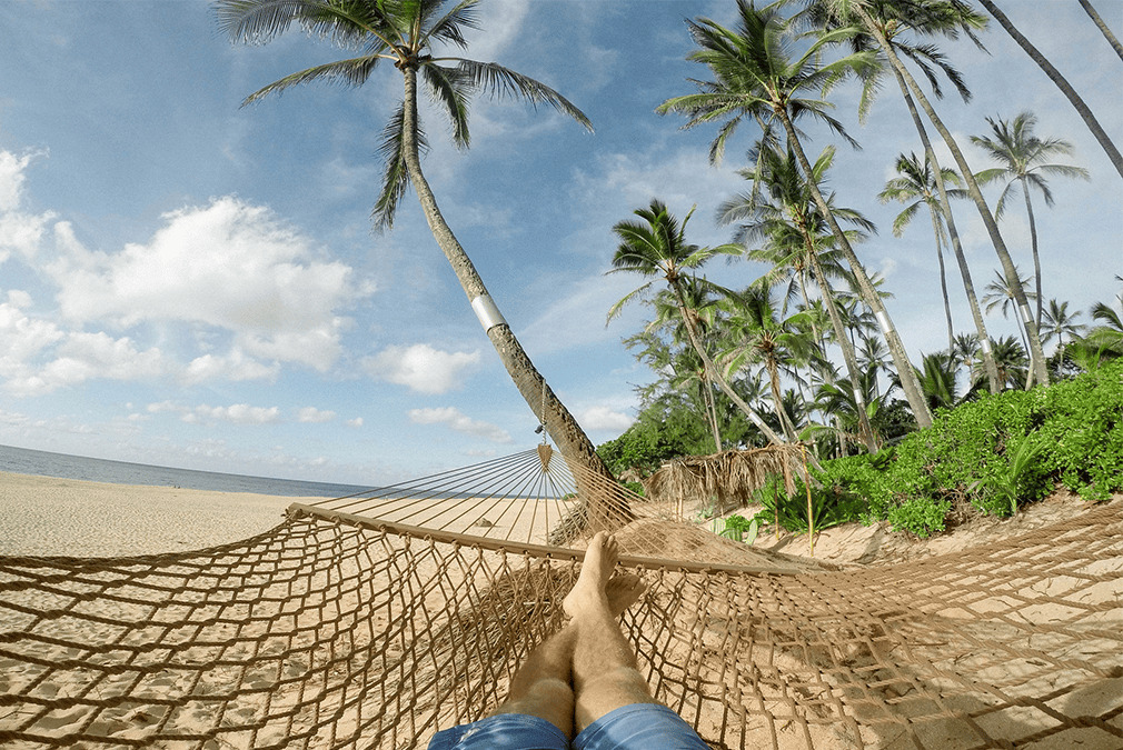 Experience goa summer