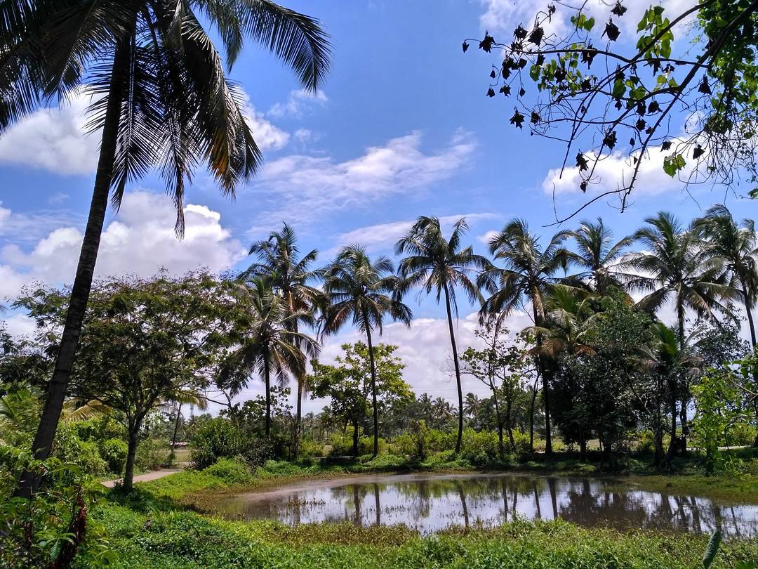 villages in goa